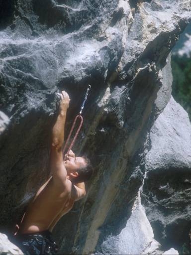 [thumbnail of Picture 4]