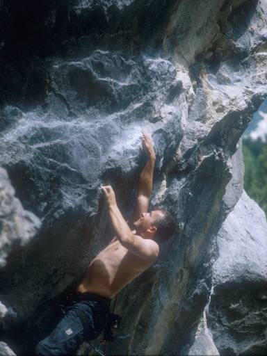 [thumbnail of Picture 5]