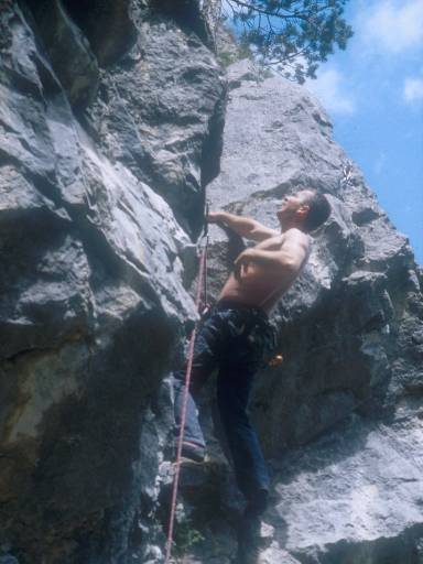 [thumbnail of Picture 8]