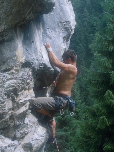 [thumbnail of Picture 11]