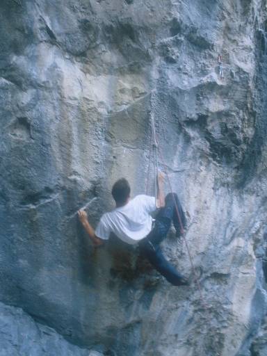 [thumbnail of Picture 17]