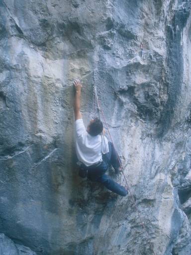 [thumbnail of Picture 18]