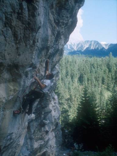 [thumbnail of Picture 19]