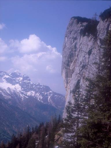 [thumbnail of Picture 4]