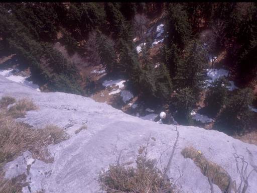 [thumbnail of Picture 7]