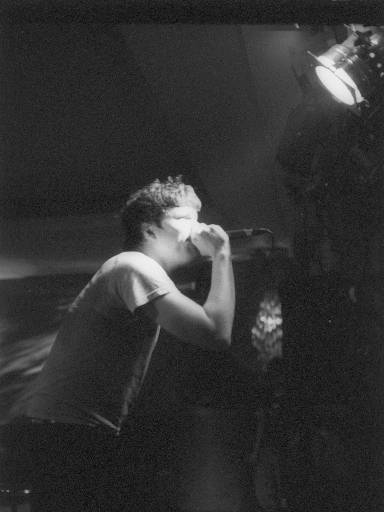 [thumbnail of Picture 33]