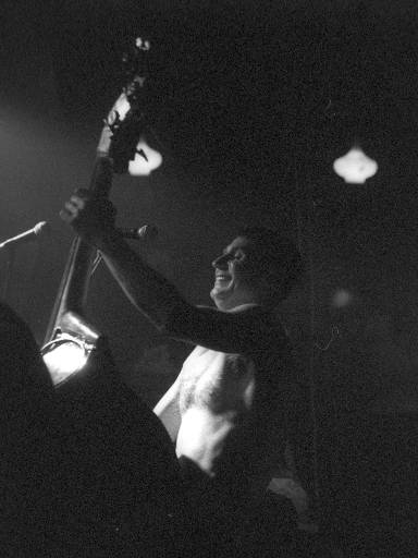 [thumbnail of Picture 30]