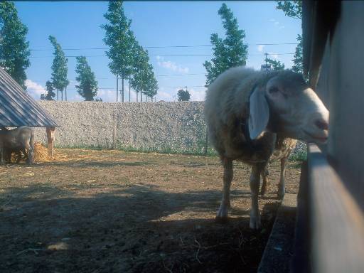 [thumbnail of Picture 18]