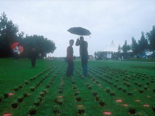 [thumbnail of Picture 8]