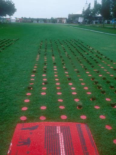 [thumbnail of Picture 11]