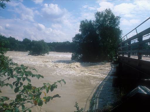 [thumbnail of Picture 2]