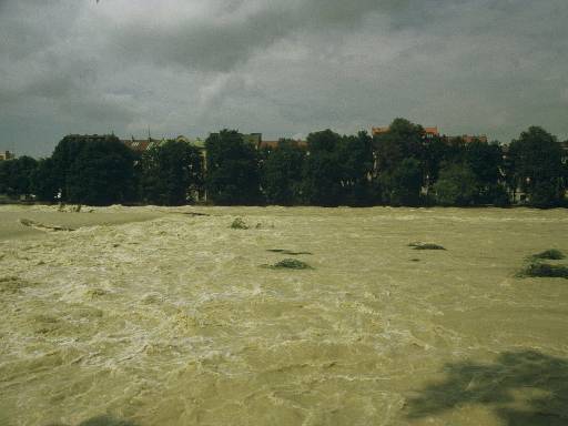 [thumbnail of Picture 8]