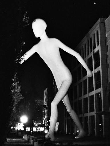 [thumbnail of Picture 2]